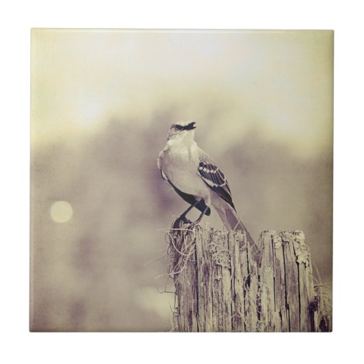 Carreau Chant au monde ! (Devant)
