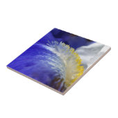 Carreau Chantez le blues ! (Côté)