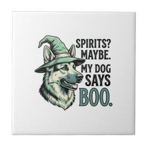 Carreau Chapeau De Sorcière Chien Gravure Vintage Humour H