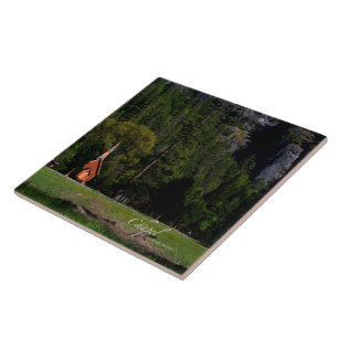 Carreau Chapelle de Yosemite