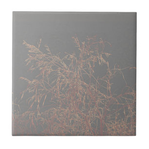 Carreau Charcoal Grey Golden Tree Bruns Sky