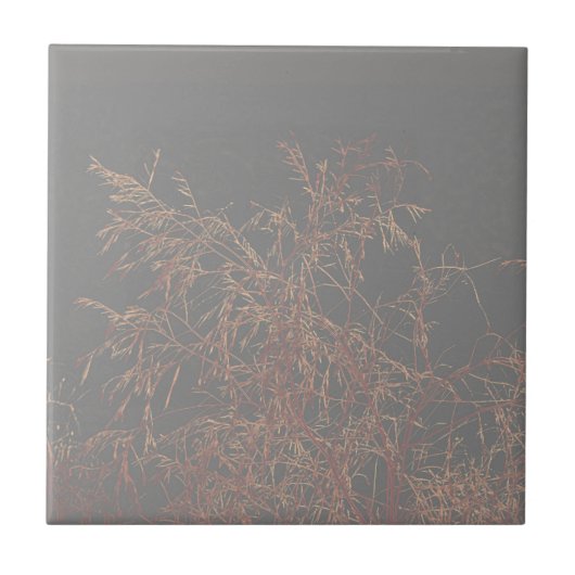 Carreau Charcoal Grey Golden Tree Bruns Sky (Devant)