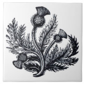 Carreau Chardon (Devant)