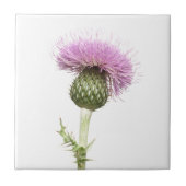 Carreau Chardon (Devant)