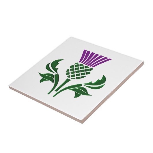 Carreau Chardon d'emblème écossais (Côté)