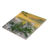 Carreau Chardonneret Et Chardon D'automne (Côté)