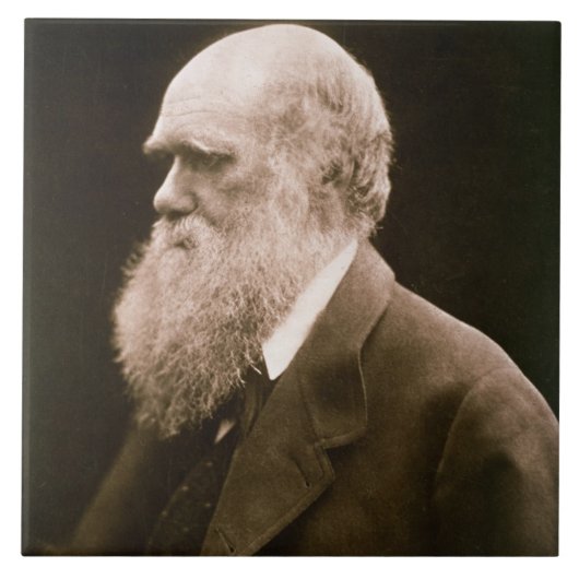 Carreau Charles Darwin (1809-82) (photo) (Devant)