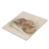 Carreau Charles Hamilton Smith - La Capybara (Côté)