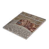 Carreau Charme (Côté)