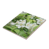 Carreau Charmeuses fleurs de printemps (Côté)