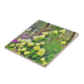 Carreau Chartreuse Hydrangea Limelight Garden (Côté)