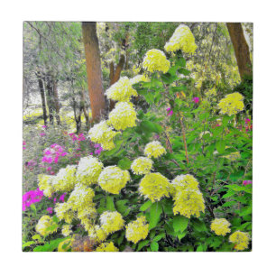 Carreau Chartreuse Vert Limelight Hydrangea Garden
