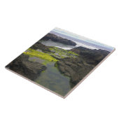 Carreau Chasme de Cook, Cape Perpetua, OU (Côté)