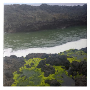Carreau Chasme de Cook, Cape Perpetua, OU