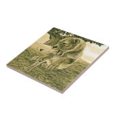 Carreau Chasse à la lionne (Côté)