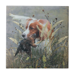 Carreau Chasse avec Epagneul Breton  