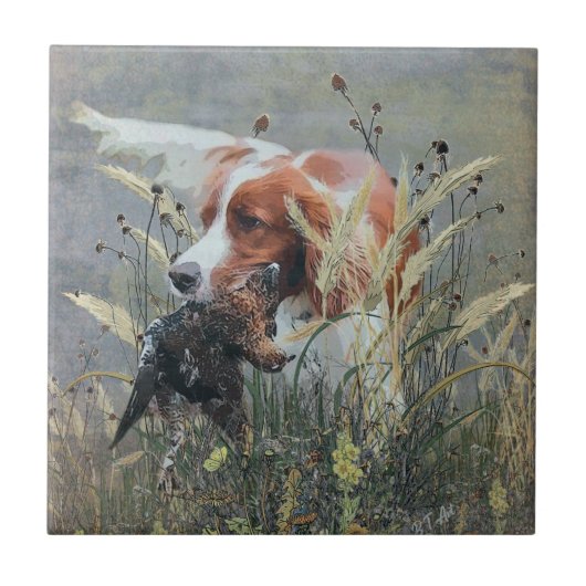 Carreau Chasse avec Epagneul Breton (Devant)