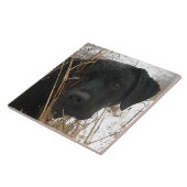 Carreau Chasse de fin de saison - Black Lab - Labrador (Côté)