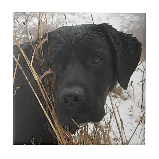 Carreau Chasse de fin de saison - Black Lab - Labrador (Devant)