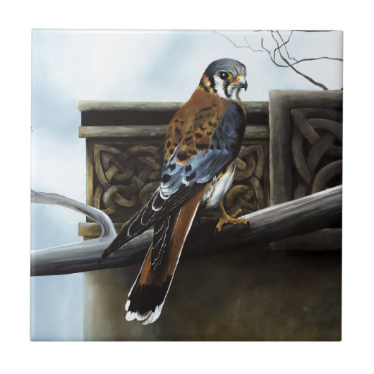 Carreau Chasseur de château (Devant)