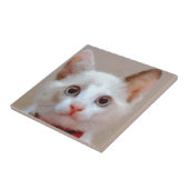 Carreau chat 3 (Côté)