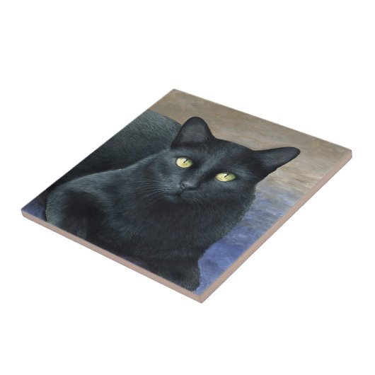 Carreau Chat 621 noir (Côté)