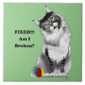 Carreau Chat à linge Maine Gris Funny Fixe (Devant)