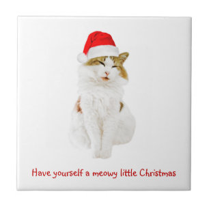 Carreau Chat avec Casquette Père Noël