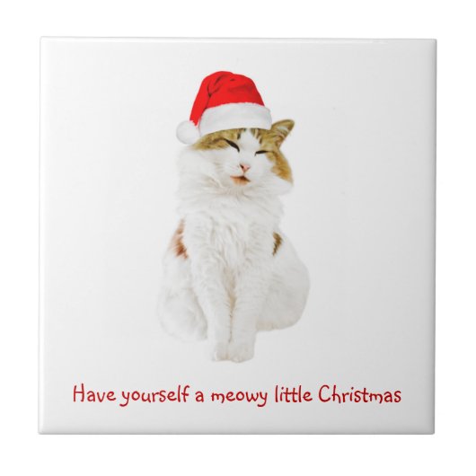 Carreau Chat avec Casquette Père Noël (Devant)