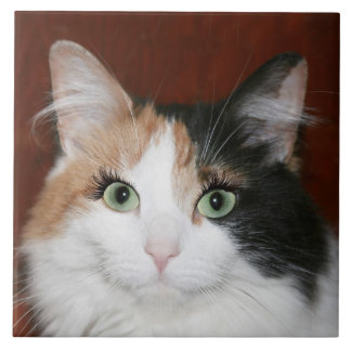 Carreau Chat avec des cils