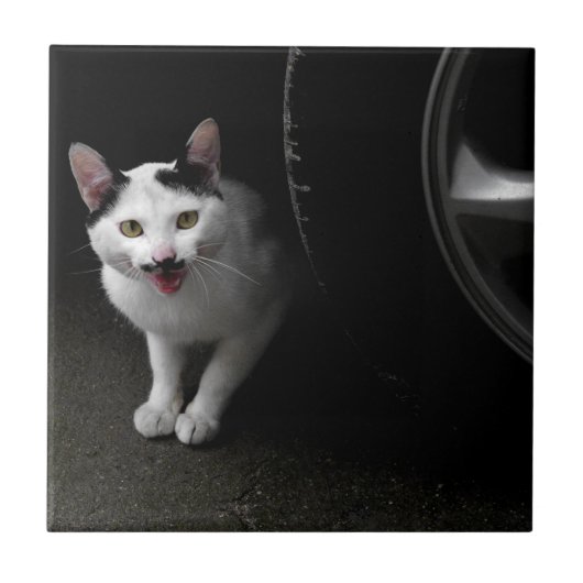 Carreau Chat avec Moustache (Devant)