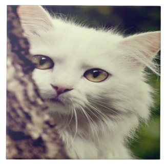 Carreau Chat blanc