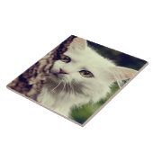 Carreau Chat blanc (Côté)