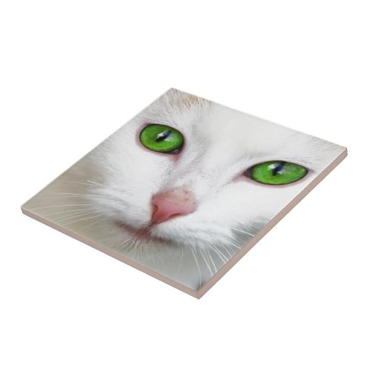 Carreau Chat blanc à l'oeil vert (Côté)