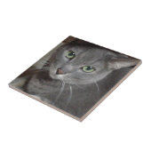 Carreau Chat bleu russe (Côté)