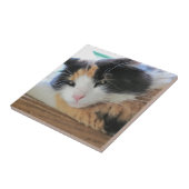 Carreau Chat calicot aguicheur (Côté)
