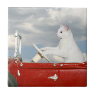 Carreau Chat conduisant une voiture