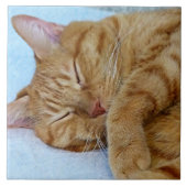 Carreau Chat couché (Devant)