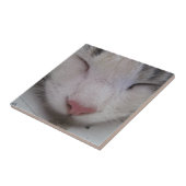 Carreau Chat couché (Côté)
