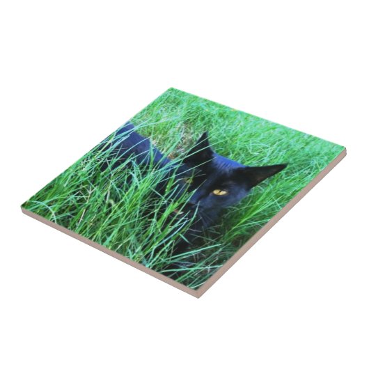 Carreau Chat dans la tuile d'herbe (Côté)