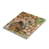 Carreau Chat d'automne (Côté)