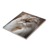 Carreau Chat de beauté persan (Côté)