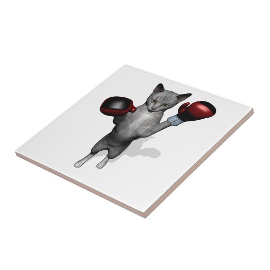 Carreau Chat de boîte (Côté)