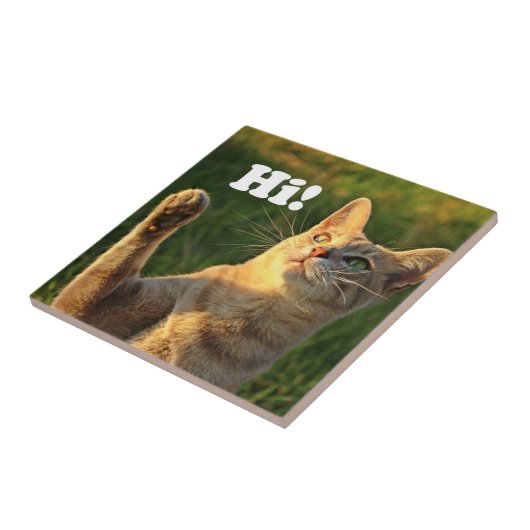 Carreau Chat de gingembre indiquant salut ! (Côté)
