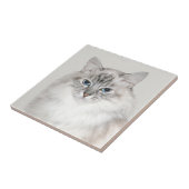 Carreau Chat de l'Himalaya de point bleu (Côté)