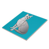 Carreau Chat de Mau d'Egyptien - gris argenté (Côté)