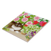 Carreau Chat de ragondin du Maine dans la tuile de jardin (Côté)