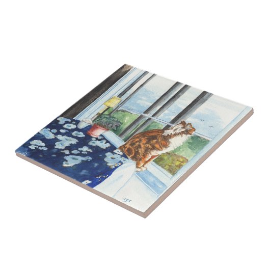 Carreau Chat de Scandia (Côté)