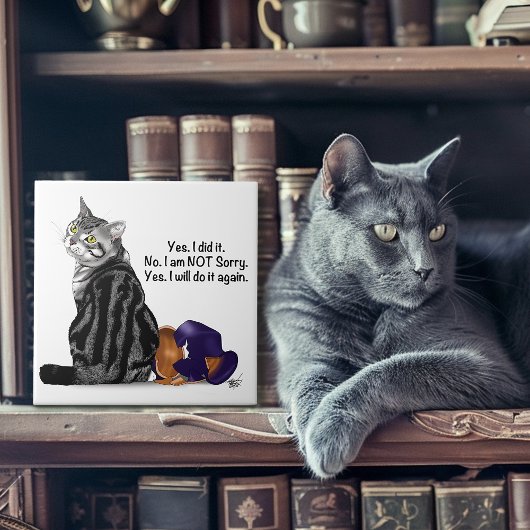 Carreau Chat drôle tabby défiant sans remords