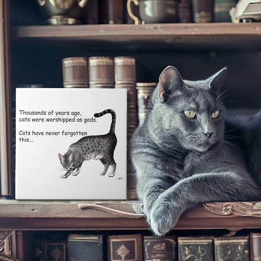 Carreau Chat égyptien Gris Tabby